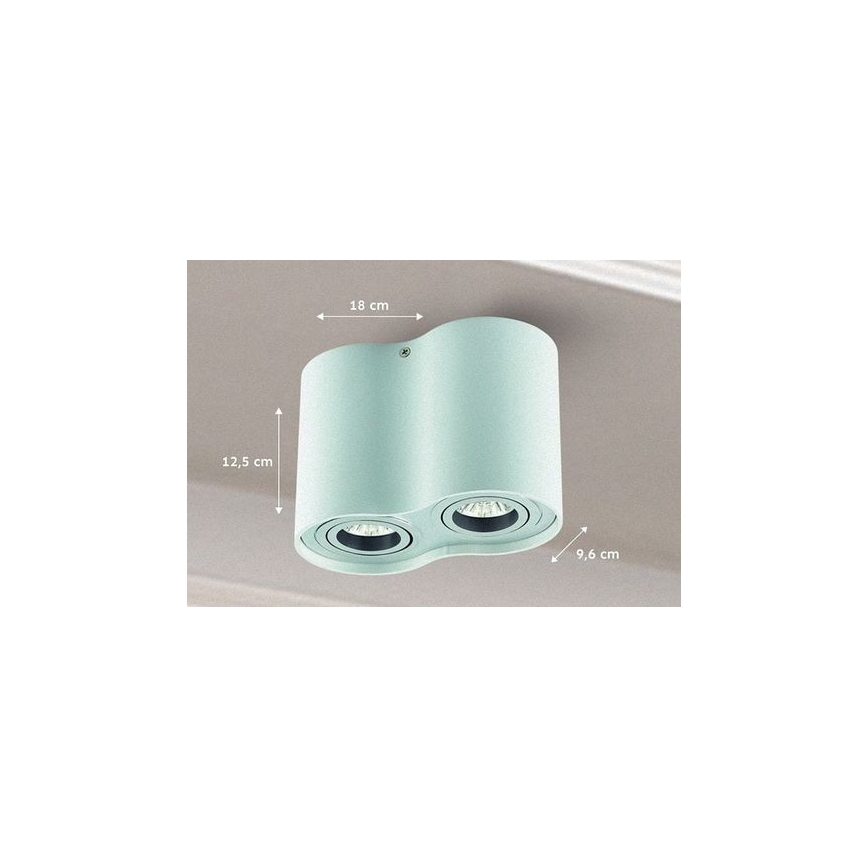 Bodové svietidlo TUBA 1xGU10/50W/230V biela