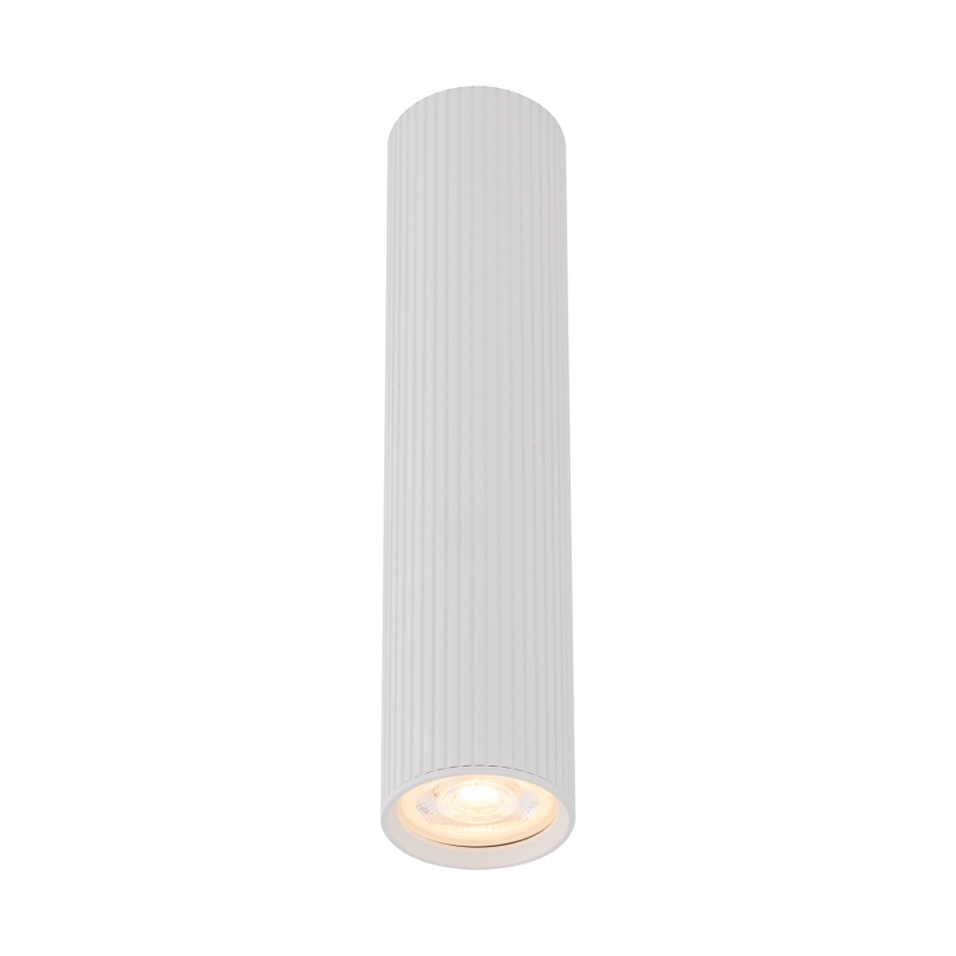 Bodové svietidlo TUNE L 1xGU10/10W/230V 24 cm biele