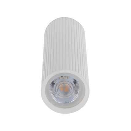 Bodové svietidlo TUNE M 1xGU10/10W/230V 17 cm biele
