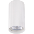Bodové svietidlo TUNE S 1xGU10/10W/230V 10 cm biela