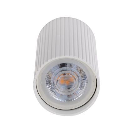 Bodové svietidlo TUNE S 1xGU10/10W/230V 10 cm biela
