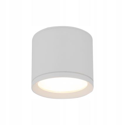 Bodové svietidlo VIVO 1xGX53/10W/230V 10 cm biela