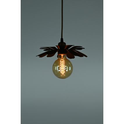 Bohemia-Design - Závesné svietidlo na lankách 1xE27/60W/230V bronzové