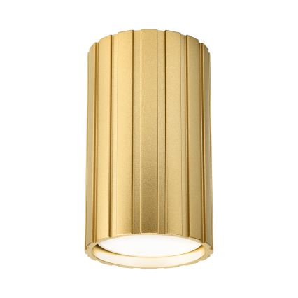 Brilagi - Bodové svietidlo CRISPINA 1xGU10/10W/230V 10 cm zlatá