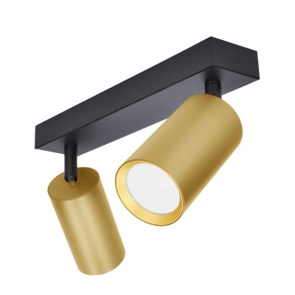 Brilagi - Bodové svietidlo SELE GOLDEN 2xGU10/30W/230V čierna/zlatá