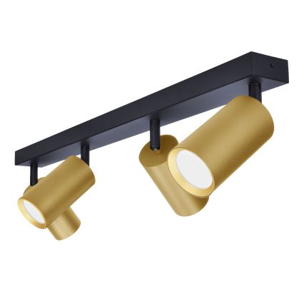 Brilagi - Bodové svietidlo SELE GOLDEN 4xGU10/30W/230V čierna/zlatá