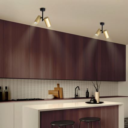Brilagi - Bodové svietidlo SELE VERTICAL 2xGU10/30W/230V čierna/zlatá