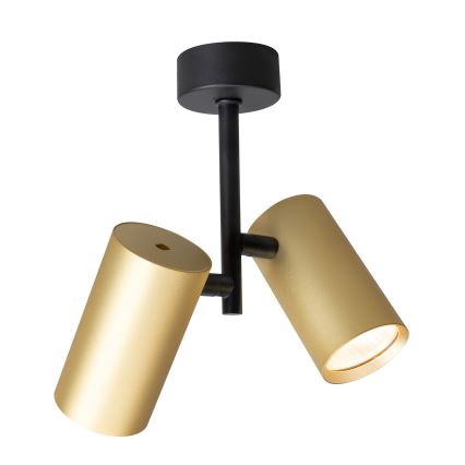 Brilagi - Bodové svietidlo SELE VERTICAL 2xGU10/30W/230V čierna/zlatá