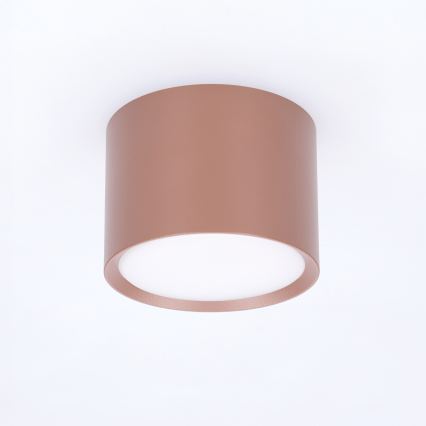 BRILAGI - Bodové svietidlo SMOOTH 1xGX53/15W/230V 60x82 mm hnedé