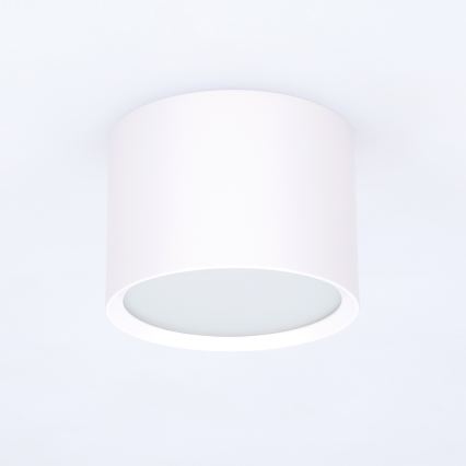 BRILAGI - Kúpeľňové bodové svietidlo SMOOTH 1xGX53/15W/230V 60x82 mm biela IP54