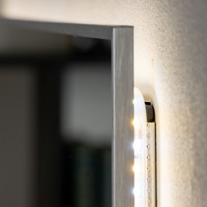 Brilagi - LED kúpeľňové zrkadlo DESIO LED/20W/230V 40x60 cm strieborné IP44 CRI 90 stmievateľné + CCT