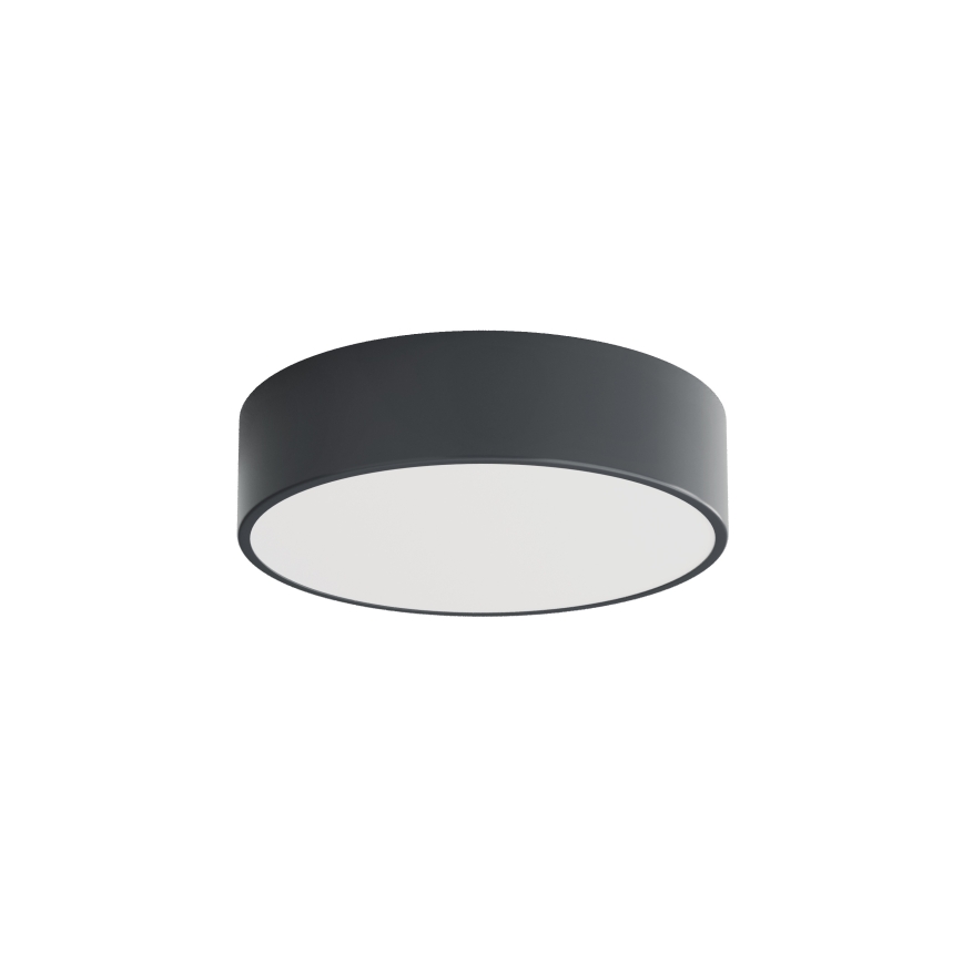 Brilagi - Kúpeľňové stropné svietidlo CLARE 2xE27/24W/230V pr. 30 cm antracit IP54