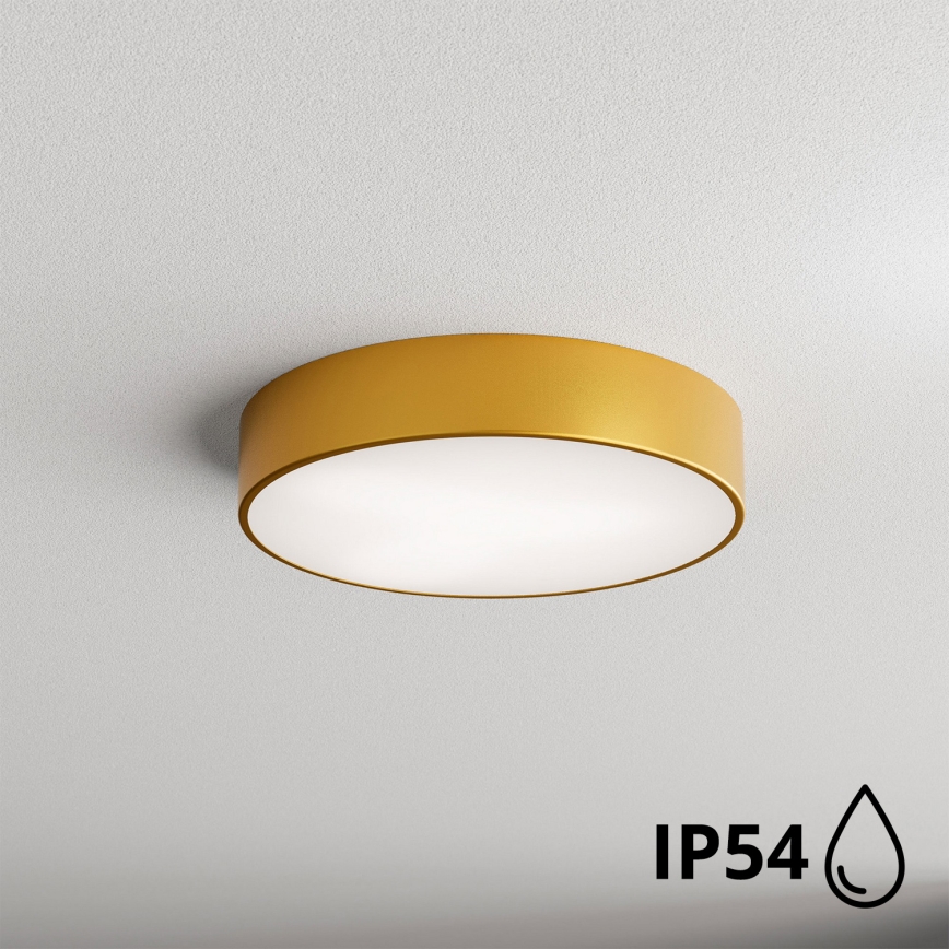 Brilagi - Kúpeľňové stropné svietidlo CLARE 2xE27/24W/230V pr. 40 cm IP54 zlatá