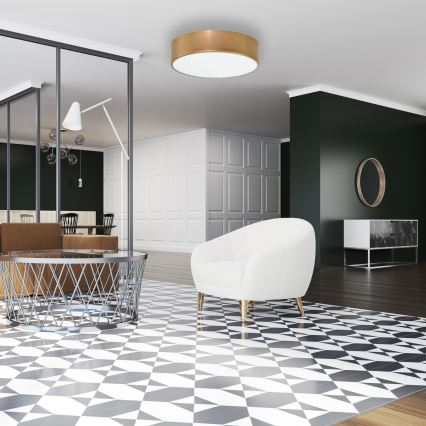 Brilagi - Kúpeľňové stropné svietidlo CLARE 2xE27/24W/230V pr. 40 cm IP54 zlatá