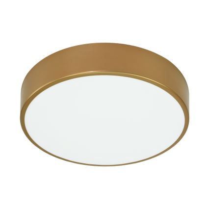 Brilagi - Kúpeľňové stropné svietidlo CLARE 3xE27/24W/230V pr. 40 cm IP54 zlatá