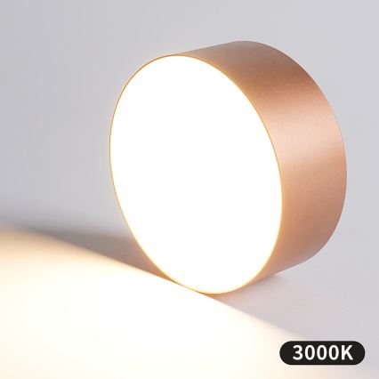 BRILAGI - Kúpeľňové stropné svietidlo FORIS LED/20W/230V pr. 15 cm bronzové IP44 CRI 90