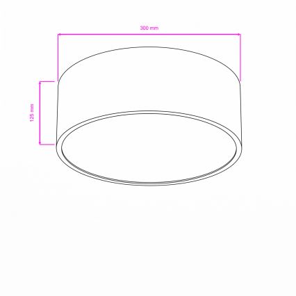 Brilagi - Kúpeľňové stropné svietidlo POOL 2xE27/15W/230V priemer 30 cm IP54 čierna