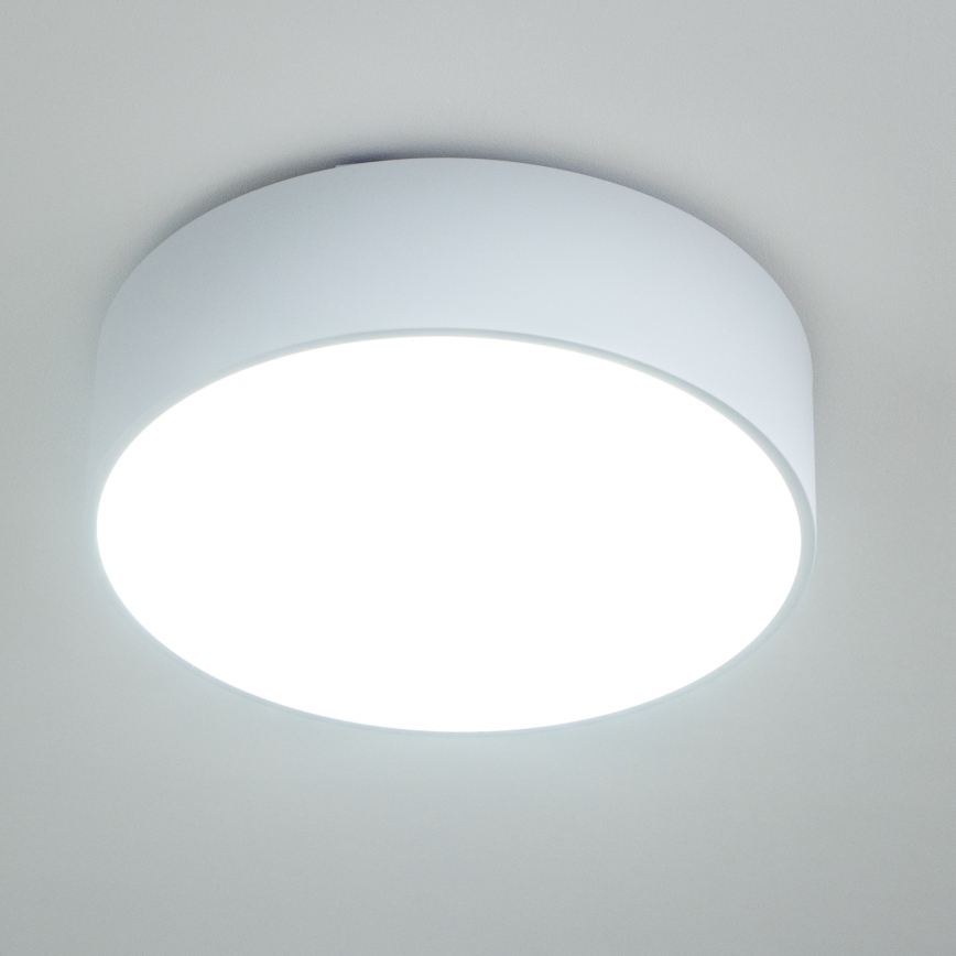 Brilagi - Kúpeľňové stropné svietidlo POOL 3xE27/15W/230V pr. 40 cm IP54 biela