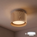 BRILAGI - LED bodové svietidlo BACKLIT 1xGX53/15W/230V + LED/3W pr. 10 cm dubový dekor