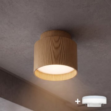 BRILAGI - LED bodové svietidlo BACKLIT 1xGX53/15W/230V + LED/3W pr. 8 cm v dubovom dekore