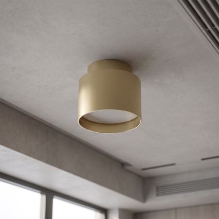 BRILAGI - LED bodové svietidlo BACKLIT 1xGX53/15W/230V + LED/3W pr. 8 cm zlaté