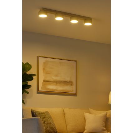 Brilagi - LED bodové svietidlo MONO 4xGX53/30W/230V béžové