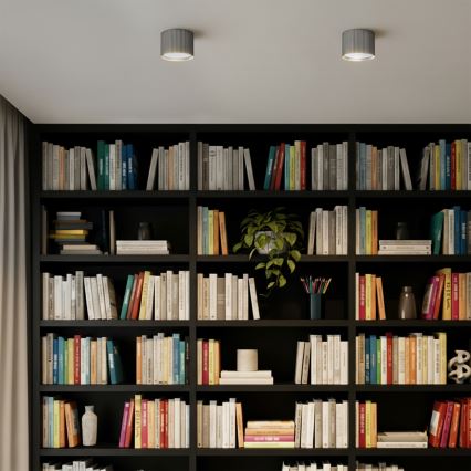 Brilagi - LED Bodové svietidlo STRIPY 1xGX53/15W/230V strieborné