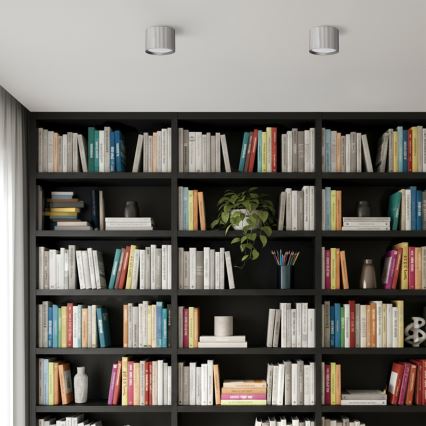 Brilagi - LED Bodové svietidlo STRIPY 1xGX53/15W/230V strieborné