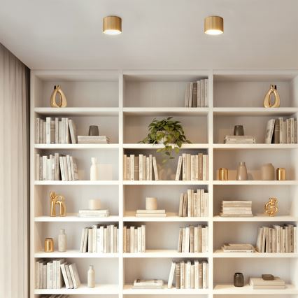 Brilagi - LED Bodové svietidlo STRIPY 1xGX53/15W/230V zlaté