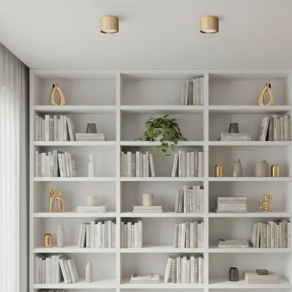 Brilagi - LED Bodové svietidlo STRIPY 1xGX53/15W/230V zlaté