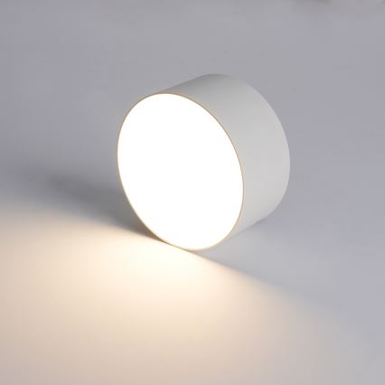 Brilagi - LED kúpeľné stropné svietidlo FORIS LED/14W/230V priemer 12 cm biele IP44