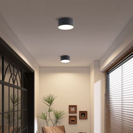 Brilagi - LED kúpeľňové stropné svietidlo FORIS LED/14W/230V, priemer 12 cm, čierne, IP44