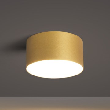 BRILAGI - LED Kúpeľňové stropné svietidlo FORIS LED/14W/230V priemer 12 cm zlaté IP44