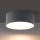 Brilagi - LED Kúpeľňové stropné svietidlo FORIS LED/20W/230V pr. 15 cm antracit IP44