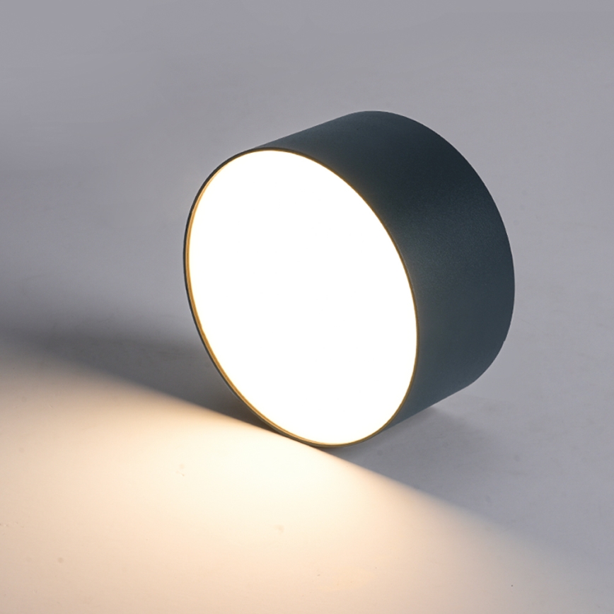 Brilagi - LED Kúpeľňové stropné svietidlo FORIS LED/20W/230V pr. 15 cm antracit IP44