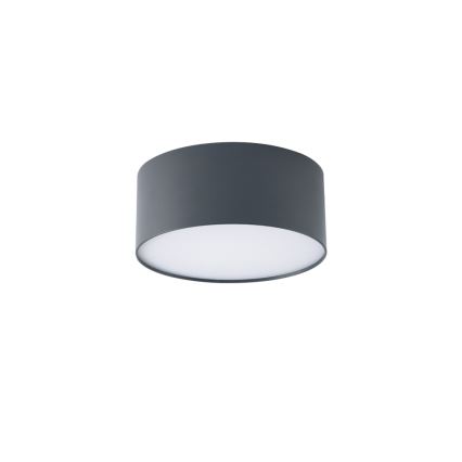 Brilagi - LED Kúpeľňové stropné svietidlo FORIS LED/20W/230V pr. 15 cm antracit IP44