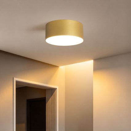 BRILAGI - LED Kúpeľňové stropné svietidlo FORIS LED/20W/230V pr. 15 cm zlaté IP44