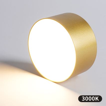BRILAGI - LED Kúpeľňové stropné svietidlo FORIS LED/20W/230V pr. 15 cm zlaté IP44