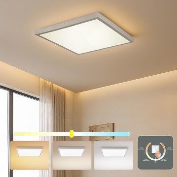 Brilagi - LED Kúpeľňové stropné svietidlo FRAME LED/50W/230V 3000/4000/6000K 60x60 cm IP44 strieborná