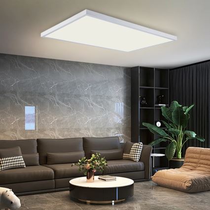 Brilagi - LED kúpeľňové stropné svietidlo FRAME LED/96W/230V 120x60 cm 3000/4000/6000K IP44 biela