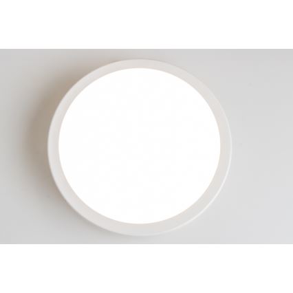 Brilagi - LED Kúpeľňové stropné svietidlo PERA LED/18W/230V pr. 22 cm IP65 biela