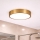 Brilagi - LED kúpeľňové stropné svietidlo POOL LED/24W/230V 3000/4000/5500K pr. 30 cm IP54 bronz