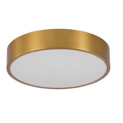 Brilagi - LED kúpeľňové stropné svietidlo POOL LED/24W/230V 3000/4000/5500K pr. 30 cm IP54 bronz