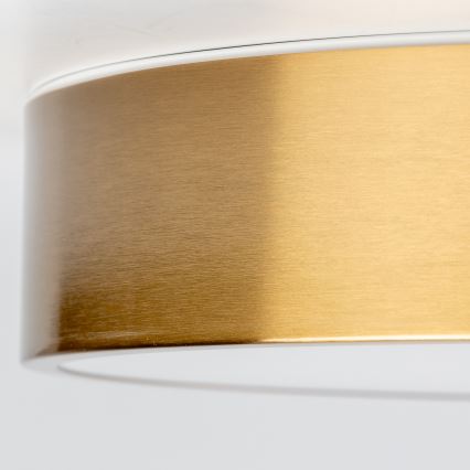 Brilagi - LED kúpeľňové stropné svietidlo POOL LED/24W/230V 3000/4000/5500K pr. 30 cm IP54 bronz
