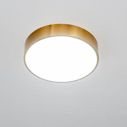 Brilagi - LED kúpeľňové stropné svietidlo POOL LED/24W/230V 3000/4000/5500K pr. 30 cm IP54 bronz