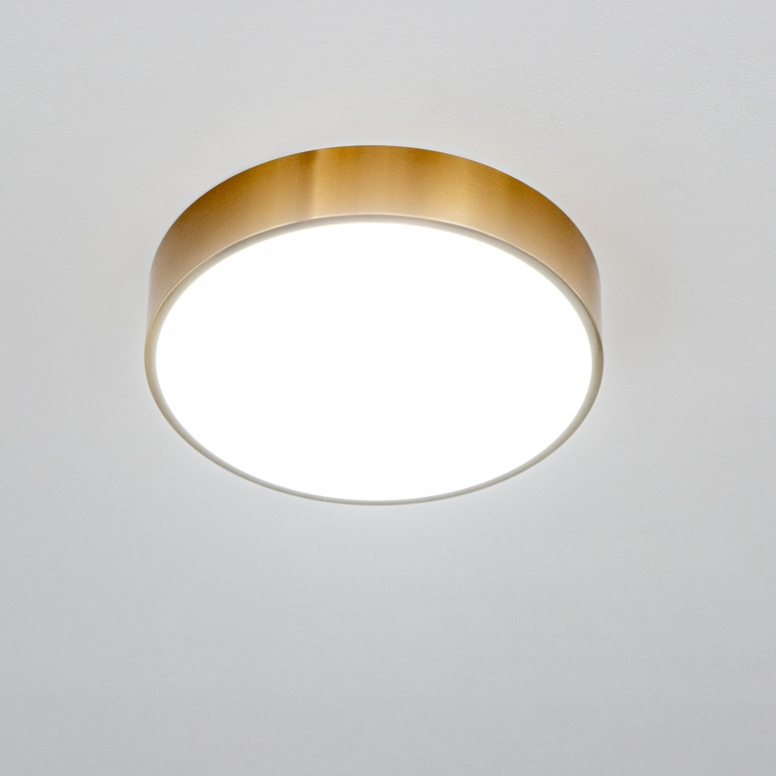 Brilagi - LED kúpeľňové stropné svietidlo POOL LED/24W/230V 3000/4000/5500K pr. 30 cm IP54 bronz