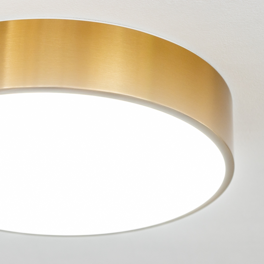 Brilagi - LED kúpeľňové stropné svietidlo POOL LED/24W/230V 3000/4000/5500K pr. 30 cm IP54 bronz