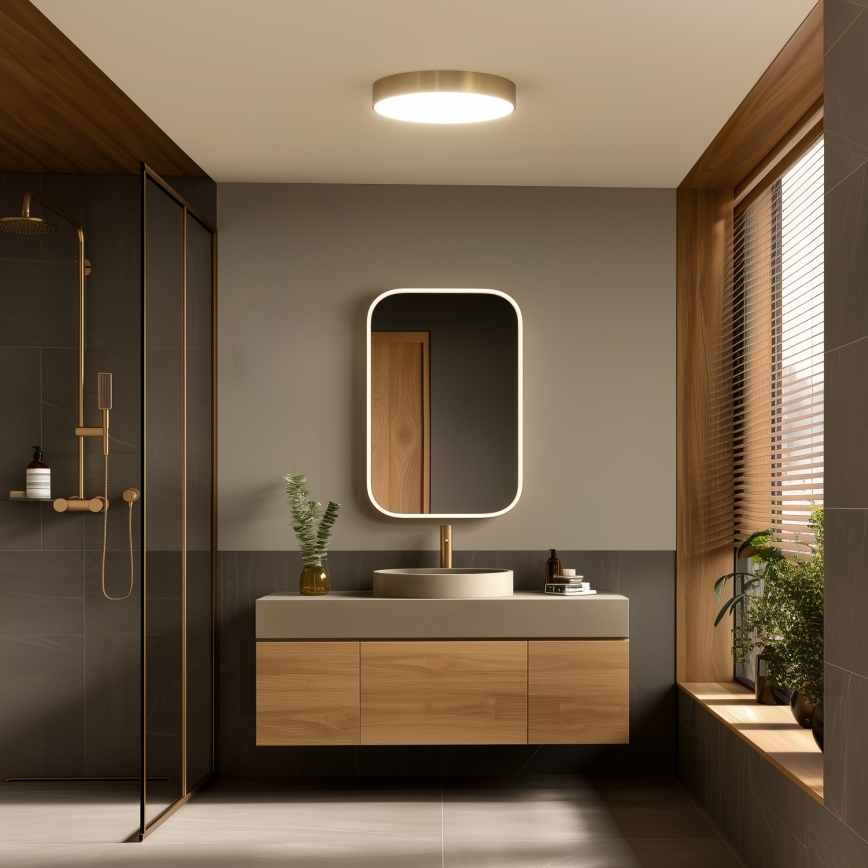 Brilagi - kúpeľňové LED stropné svietidlo POOL LED/36W/230V 3000/4000/5500K priemer 40 cm IP54 bronz
