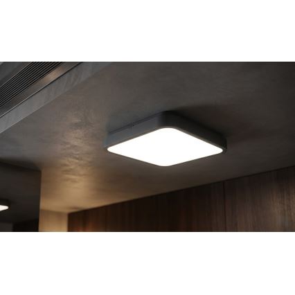 BRILAGI - LED kúpeľňové stropné svietidlo so senzorom ZENNA LED/24W/230V 34,5x34,5 cm IP44 antracit + diaľkové ovládanie