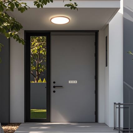 Brilagi - LED kúpeľňové stropné svietidlo ULTRA SLIM LED/12W/230V pr.22,5 cm ružové zlato IP54